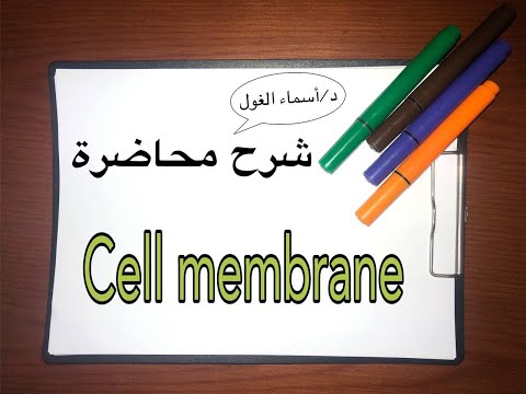 محاضرة شرح | cell membrane