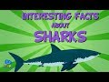 Interesting facts about Sharks | Educational Video for Kids.