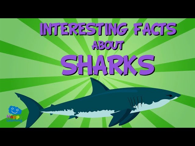 Interesting facts about Sharks | Educational Video for Kids. class=