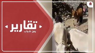 مسلسل نهب الاراضي .. نذير غضب شعبي ينهي تجبر المليشيا