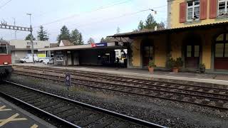 Bahnhof Rheinfelden AG/Am Morgen IR Einfahrt