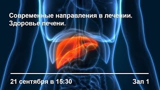 Современные направления в лечении. Здоровье печени