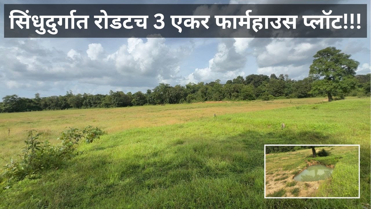 कुडाळ तालुक्यात ₹50,000/- प्रति गुंठा दरात.| 3 एकर फार्महाऊस प्लॉट.|#realestate #farmhouse 