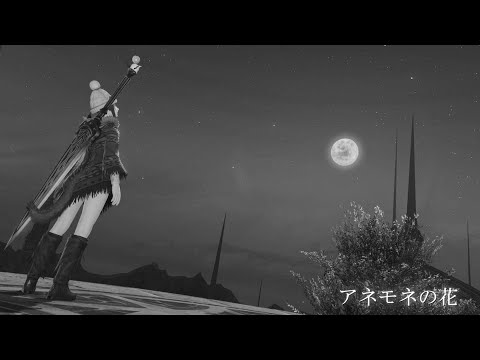 アネモネの花 feat.東北きりたん