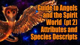 A Guide to Angels and the Spirit World: (Part 2) Attributes and Species Description