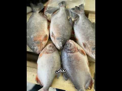 بعض المطاعم تقدم سمك الباكو على أنها سمكة زبيدي بسعر تفوق عن سعرها ب ٢٠ مرة