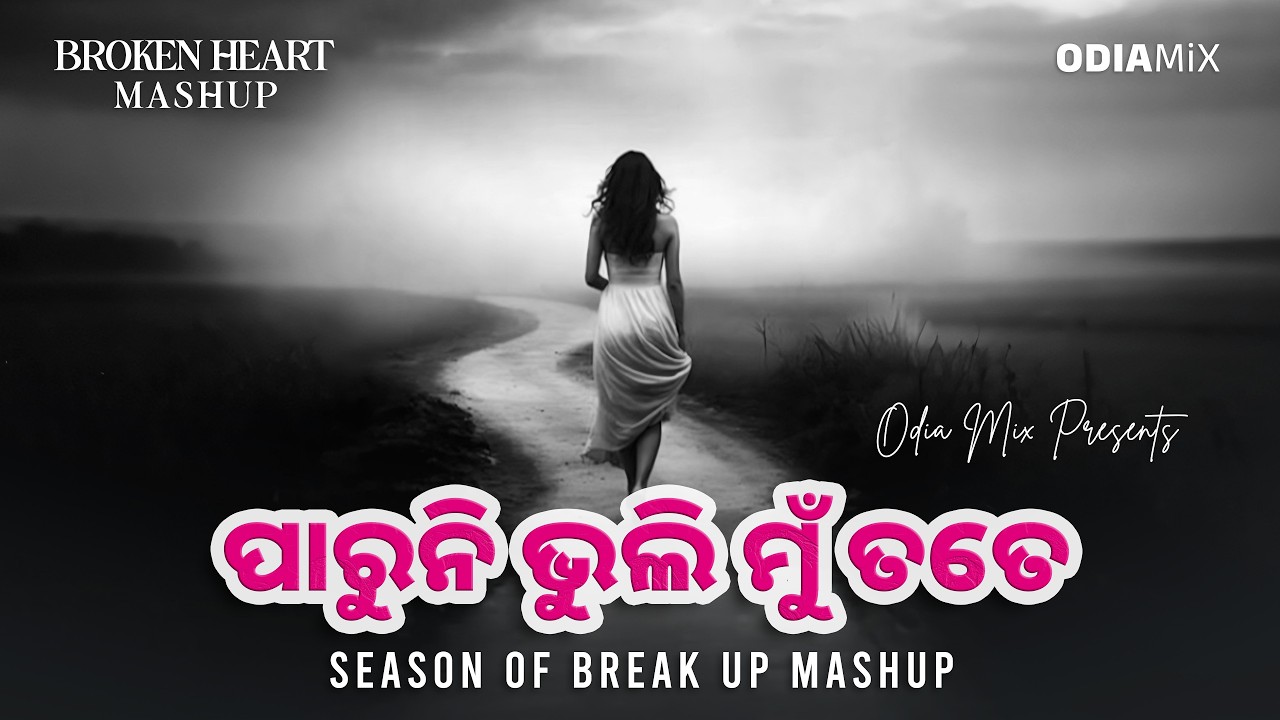 Paruni Bhuli Mu Tate | Odia Breakup Mashup | Human Sagar | Odia LoFI Slow + Reverb | Odia MiX