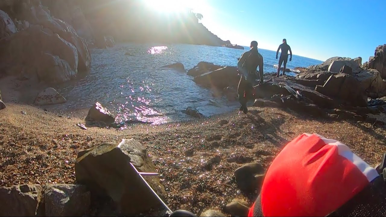 Momentos Previos I Pesca Submarina I Wild López