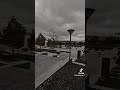 الأغنية الكردية المشهورة قلبي كتير مبسوط تريند التيك توك mp3