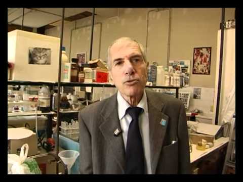 ZEROEMISSIONS CHIAMA PARMA, Prof. Luigi Campanella - YouTube