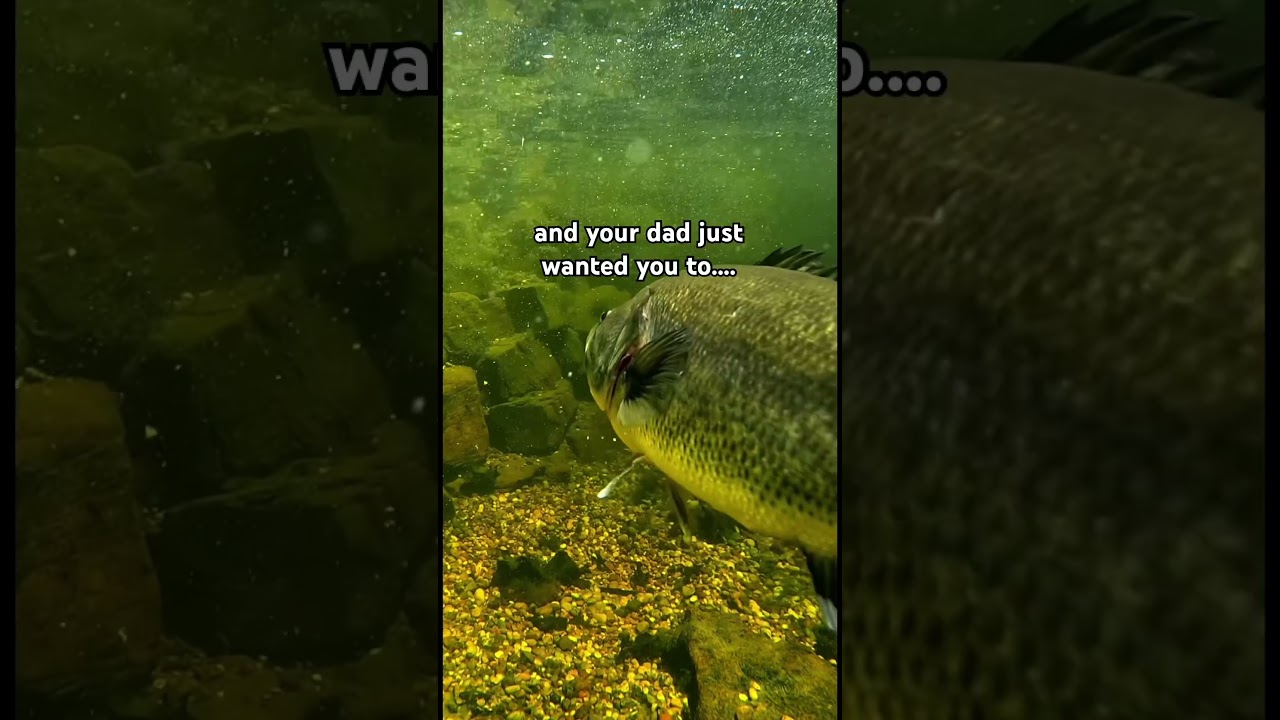 what age? #fishing #fisherman #fishingvideo #fishinglife #fishingtrip #fishingshorts #shorts #fyp
