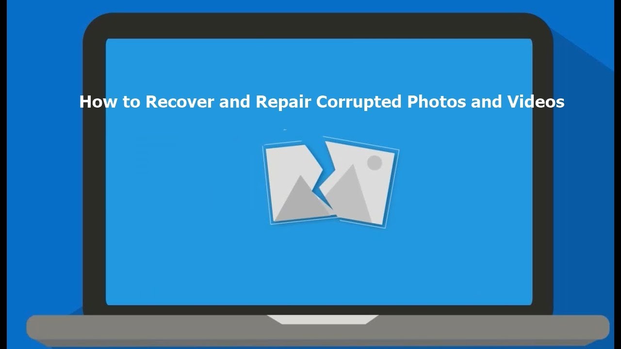 grauonline video repair review