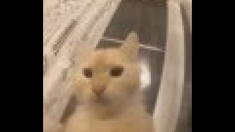 Resonite: How to create and save a new home world