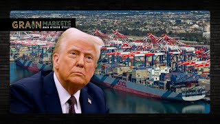 Trump Plan to Charge Chinese Vessels to Make US Soybeans LESS Competitive