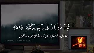 #Ya Ibadi Allazina Amanu # Surah ul Ankaboot Sheikh Abdul Rahman #Mossad| Islamic