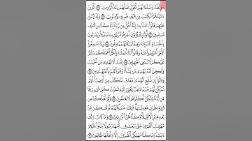 سورة القصص ص 392 من آية 51 - 59 للحفظ والمراجعة. Holy Quran.