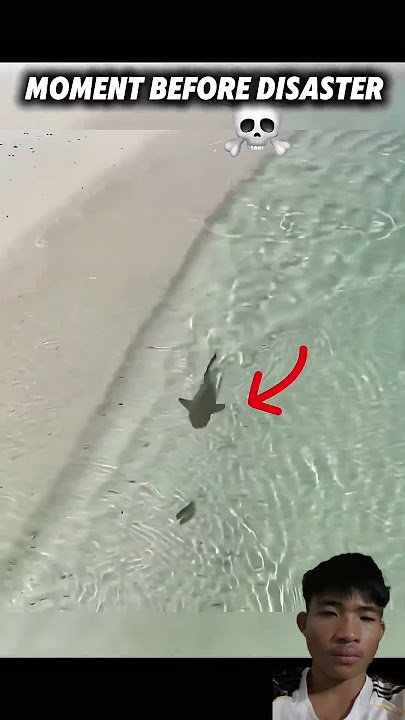 Download lagu #memes #funny #googleearth #beach #armwrestling #motivation #speedyp #lifeisbutadream #edit