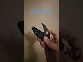 Spyderco micro Jimbo #edc #spyderco #selfdefense #edcknife #pocketknives