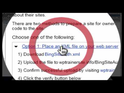 Bing Webmaster Tool Box Site Verification