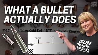 Ballistics 101: Hollow Points, FMJ, and What a Bullet Actually Does