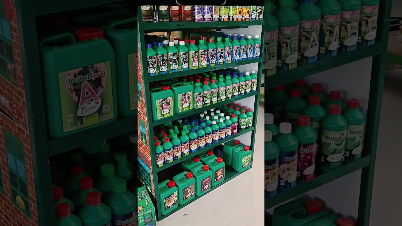 Dutch Pro Premium Edition bei HobbyGrow