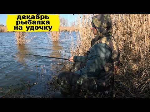 Видео: Как да напиша искова молба за признаване на собственост