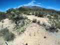 Copes Crazy! #2! Extreme Desert Running!