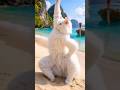 #aivideo #viralshort #dancing video #viralvideo #shortsfeed