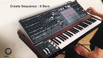 Arturia MatrixBrute #5 | Create Sequence