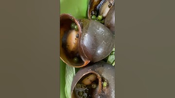 Ốc bưu nướng tiêu xanh