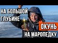 Ловля окуня на "маропедку" на большой глубине