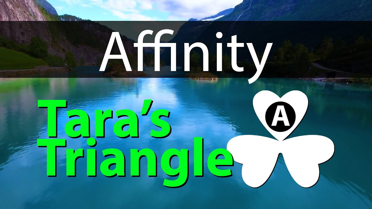 Social Affinity is the first attribute of Tara's Triangle Personality Type Psychology Tool