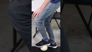 How Strong Is a Giant Ostrich Egg