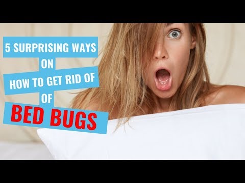 5-surprising-ways-on-how-to-ge