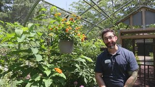 New butterfly haven exhibit at the Virginia Living Museum