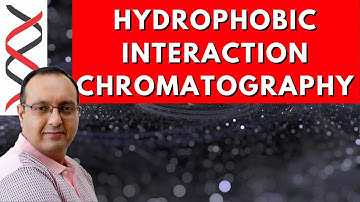 Hydrophobic Interaction Chromatography