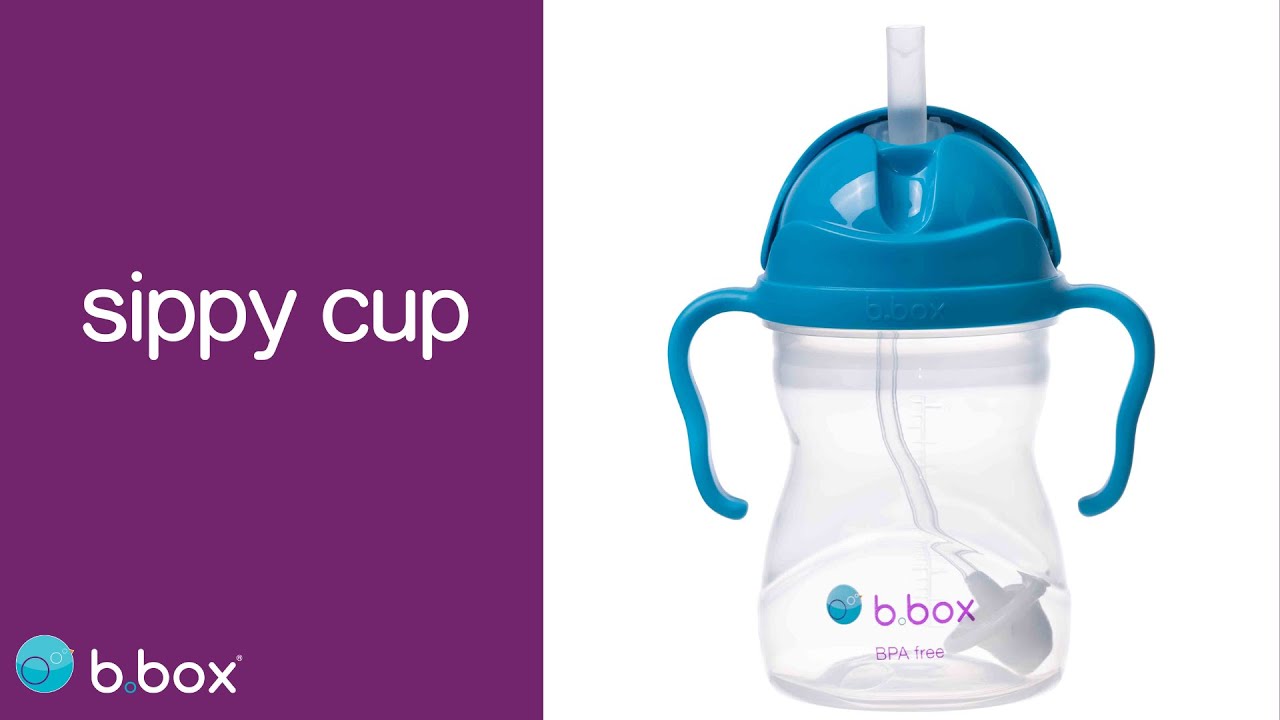 b.box Sippy Cup + Replacement Straw and Cleaner Pack, Includes 2 Weighted Straw  Sippy Cups (Raspberry & Grape)