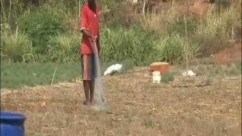 Jamaicans brace for extended drought conditions  | CEEN News | July 6, 2015