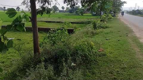Plot for sale in Rajgir Near Bihar Police Academy