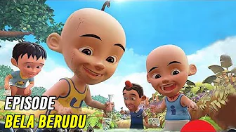 Upin & Ipin Bela Berudu Episode Terbaru 2020 | Upin Ipin Terbaru 2020 | Musim 13