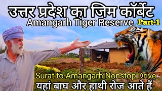 पहुंच गए उत्तर प्रदेश के जिम कॉर्बेट | Amangarh Tiger Reserve  #wildlife #jimcorbett #tiger Part-1