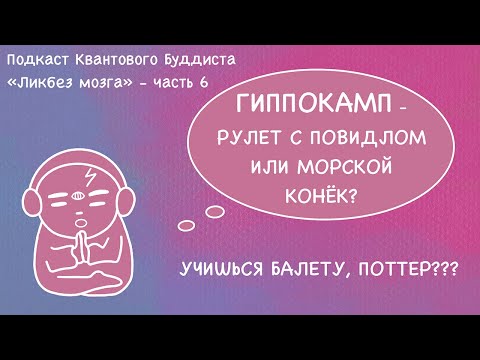 Гиппокамп. Функции и значение гиппокампа. Типы памяти. Влияние стресса на гиппокамп. Строение мозга
