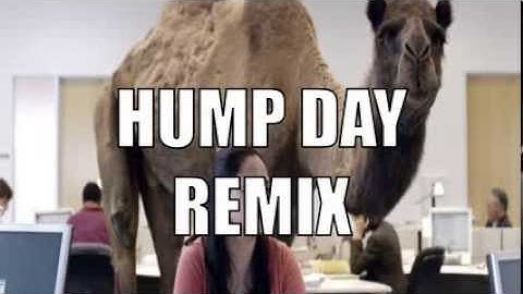 Geico Hump Day Commercial - Happy Camel Dubstep Remix