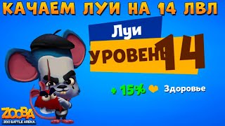 КАЧАЕМ КРЫСА ЛУИ НА 14 ЛВЛ В ИГРЕ ZOOBA - YouTube