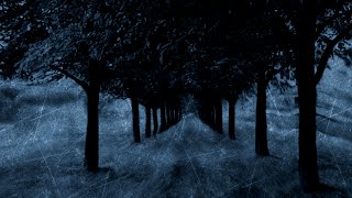 Jazzlegenden - Does It Have Any End