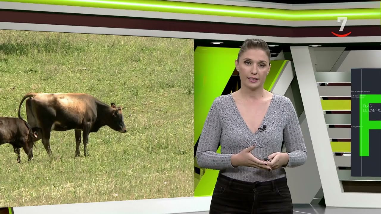 El campo al día (06/10/2025)
