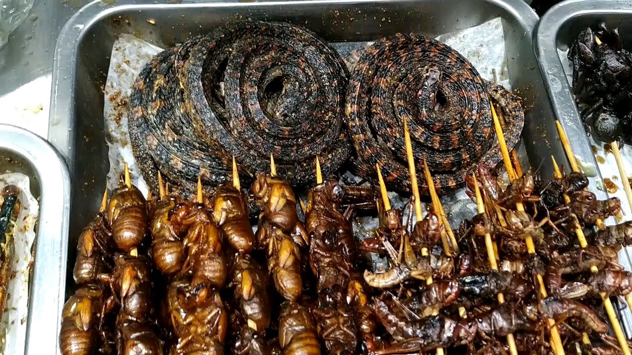EATING SNAKE, INSECTS, SCORPIONS AND COCKROACH FARMS |WEIRD FOODS IN