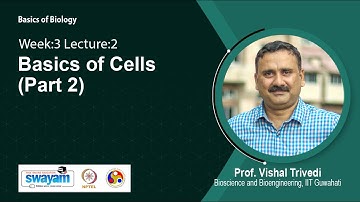 Lec 12: Basics of Cells (Part 2)