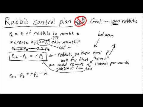 वीडियो: प्रारंभिक खरगोश की आबादी का आकार क्या है?