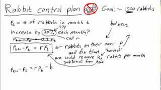 Initial planning for controlling rabbit population
